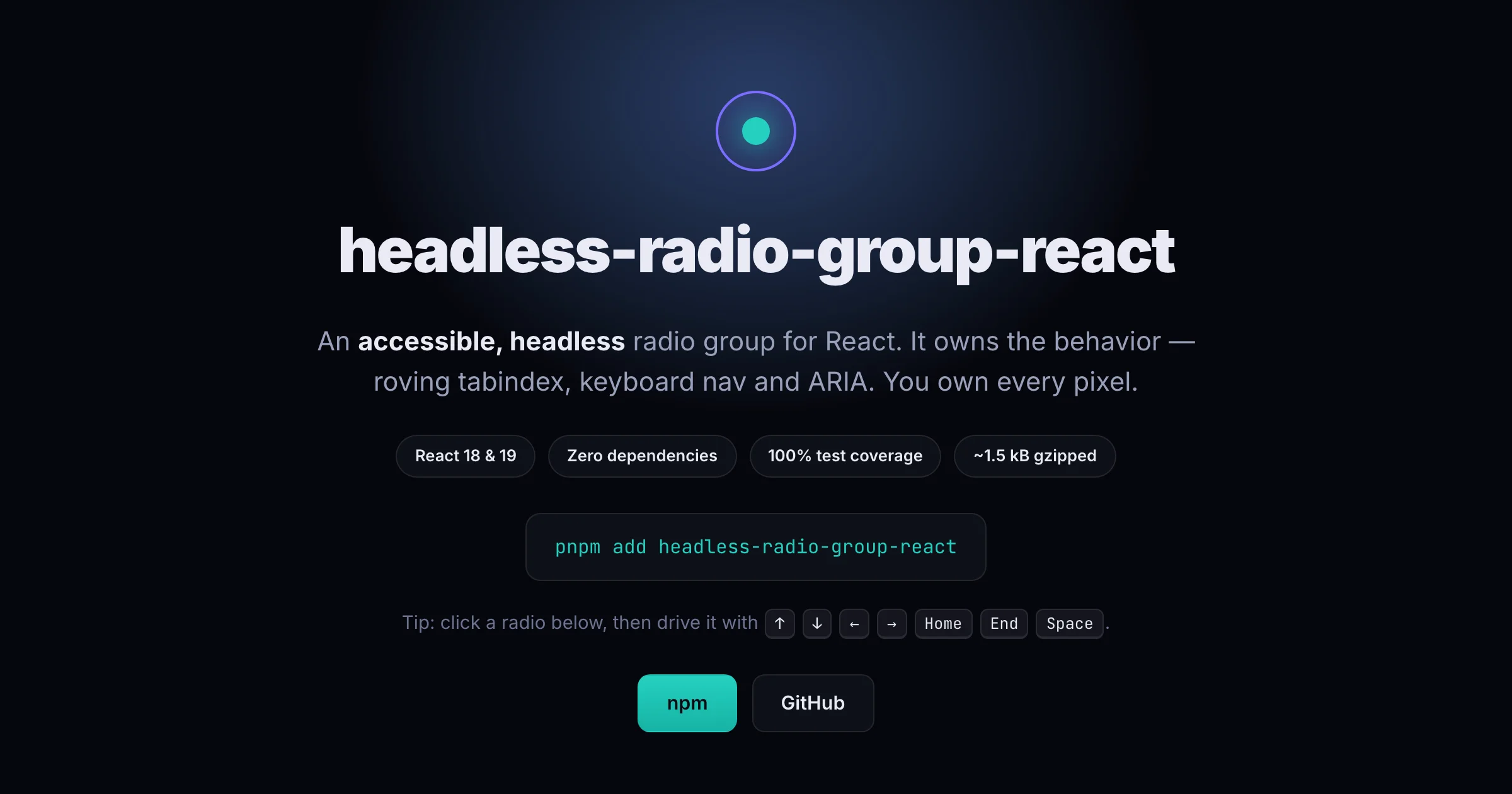 headless-radio-group-react — live demo screenshot